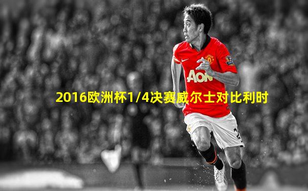 2016欧洲杯1/4决赛威尔士对比利时