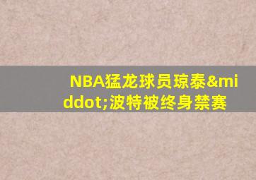 NBA猛龙球员琼泰·波特被终身禁赛