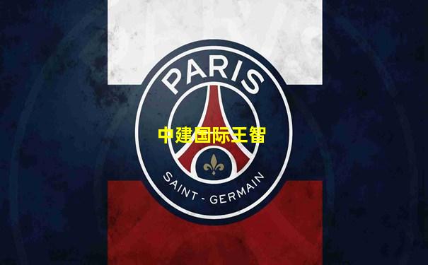 中建国际王智
