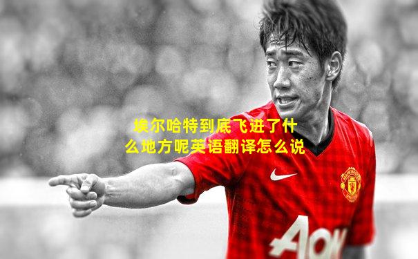 埃尔哈特到底飞进了什么地方呢英语翻译怎么说
