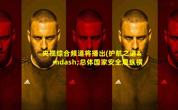 央视综合频道将播出(护航之道—总体国家安全观纵横)