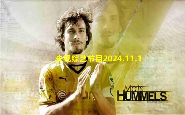 央视综艺节目2024.11.1