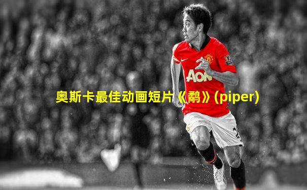 奥斯卡最佳动画短片《鹬》(piper)