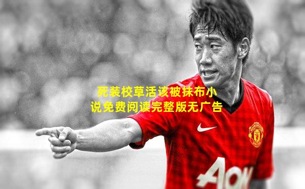 死装校草活该被抹布小说免费阅读完整版无广告