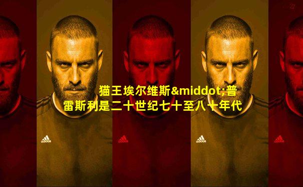 猫王埃尔维斯·普雷斯利是二十世纪七十至八十年代