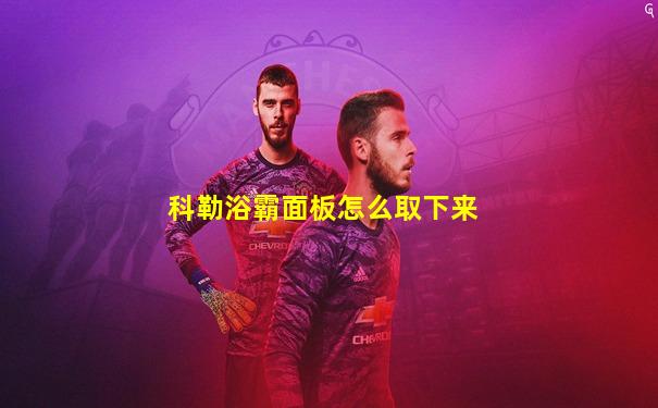 科勒浴霸面板怎么取下来