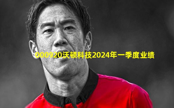 000920沃顿科技2024年一季度业绩