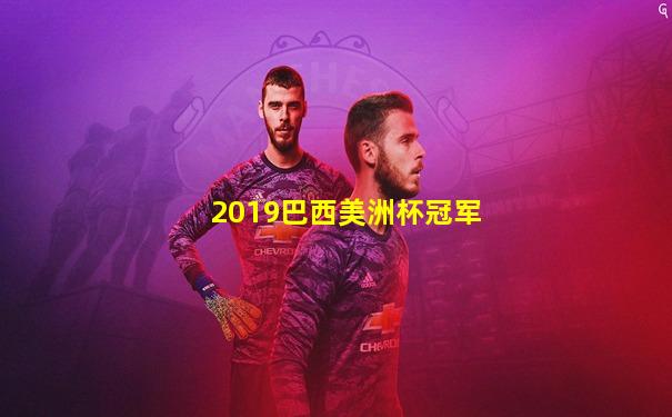2019巴西美洲杯冠军