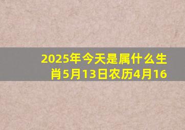 2025年今天是属什么生肖5月13日农历4月16