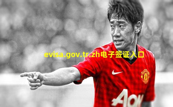 evisa.gov.tr.zh电子签证入口