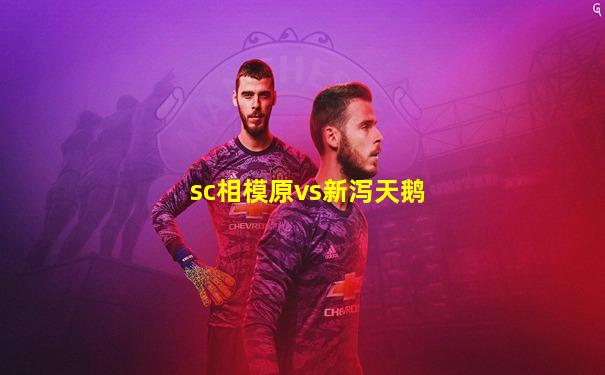 sc相模原vs新泻天鹅