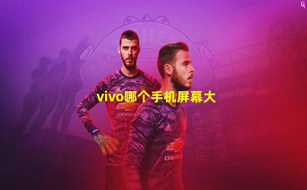 vivo哪个手机屏幕大