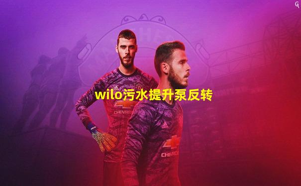 wilo污水提升泵反转