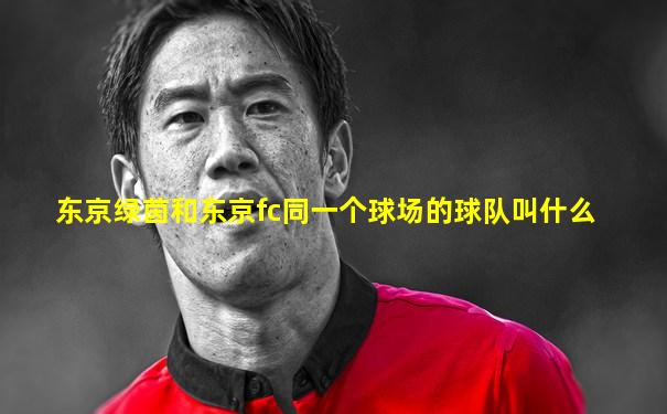东京绿茵和东京fc同一个球场的球队叫什么