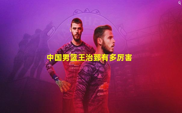 中国男篮王治郅有多厉害