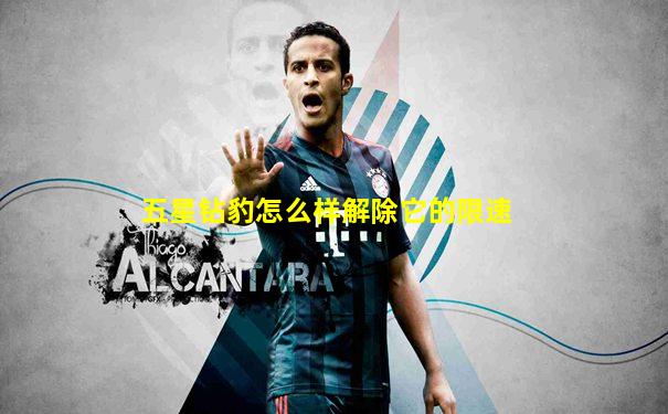 五星钻豹怎么样解除它的限速