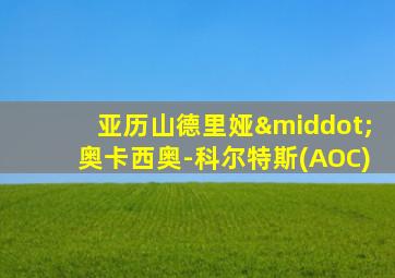 亚历山德里娅·奥卡西奥-科尔特斯(AOC)