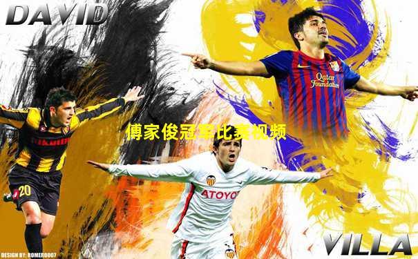 傅家俊冠军比赛视频