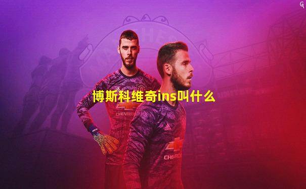 博斯科维奇ins叫什么