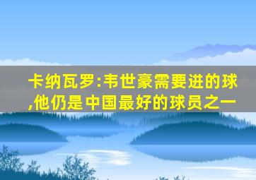 卡纳瓦罗:韦世豪需要进的球,他仍是中国最好的球员之一