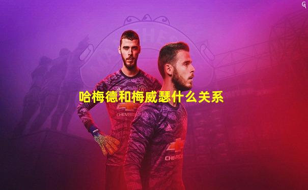 哈梅德和梅威瑟什么关系