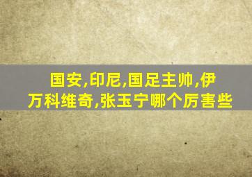 国安,印尼,国足主帅,伊万科维奇,张玉宁哪个厉害些