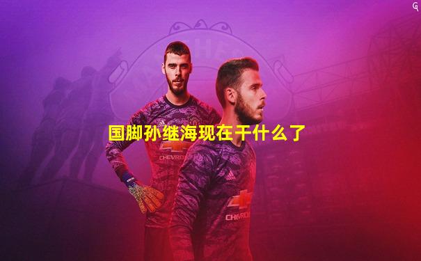 国脚孙继海现在干什么了