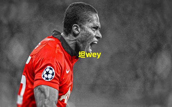 坦wey