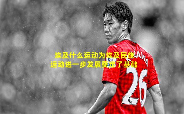 埃及什么运动为埃及民族运动进一步发展奠定了基础