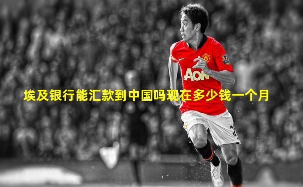 埃及银行能汇款到中国吗现在多少钱一个月