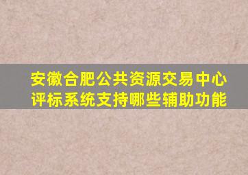 安徽合肥公共资源交易中心评标系统支持哪些辅助功能