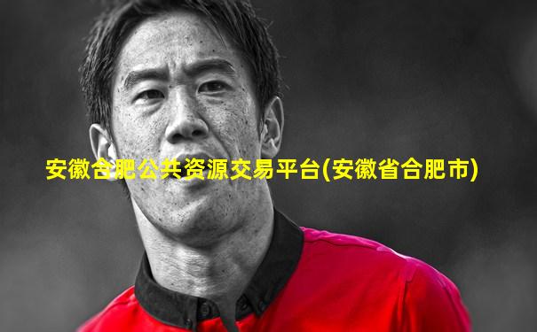安徽合肥公共资源交易平台(安徽省合肥市)