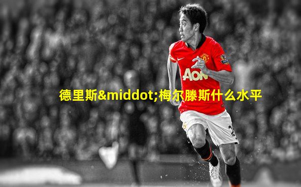 德里斯·梅尔滕斯什么水平