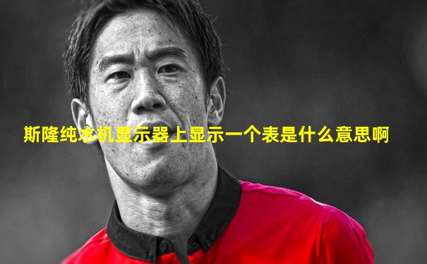 斯隆纯水机显示器上显示一个表是什么意思啊