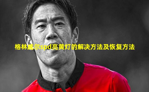 格林威尔spd亮黄灯的解决方法及恢复方法