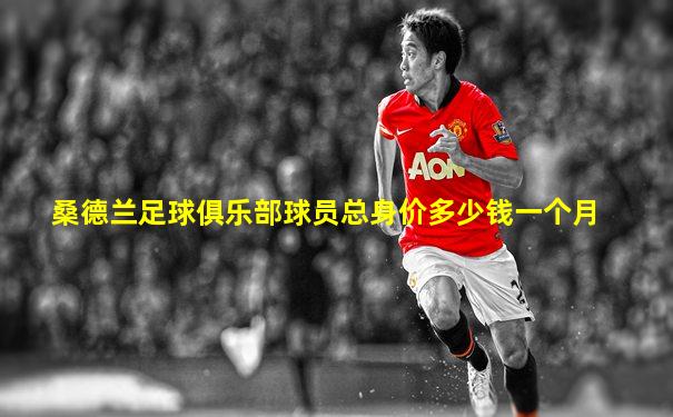 桑德兰足球俱乐部球员总身价多少钱一个月