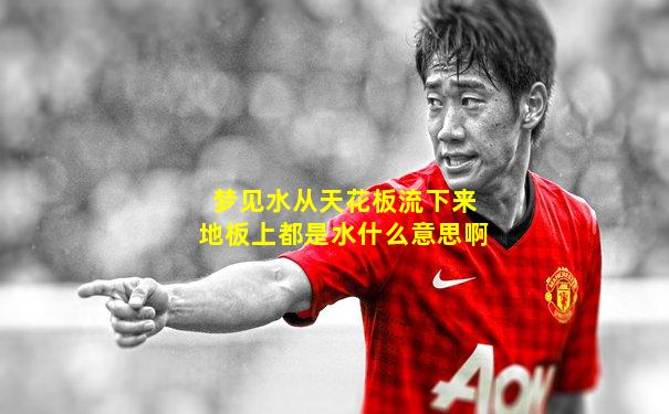 梦见水从天花板流下来地板上都是水什么意思啊