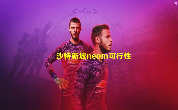沙特新城neom可行性