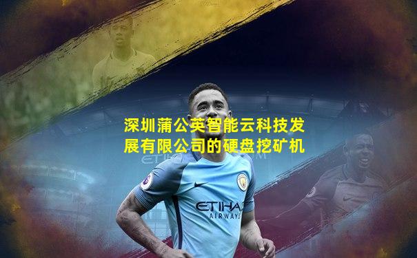 深圳蒲公英智能云科技发展有限公司的硬盘挖矿机