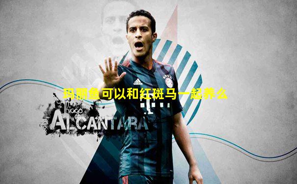 玛丽鱼可以和红斑马一起养么