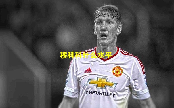 穆科科什么水平