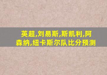 英超,刘易斯,斯凯利,阿森纳,纽卡斯尔队比分预测