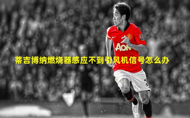 蒂吉博纳燃烧器感应不到引风机信号怎么办