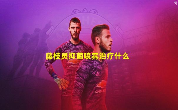 藤枝灵抑菌喷雾治疗什么