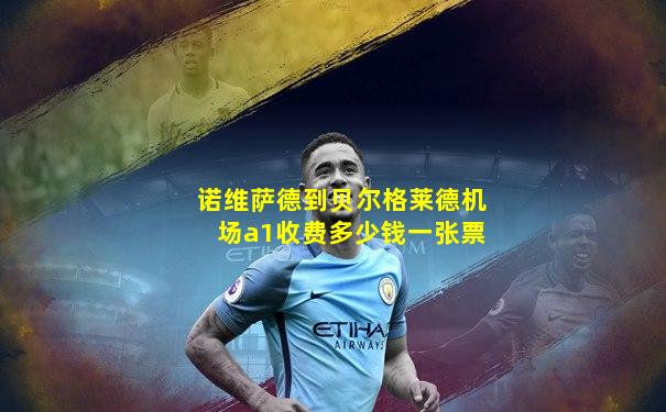 诺维萨德到贝尔格莱德机场a1收费多少钱一张票