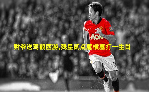 财爷送驾鹤西游,残星贰点雁横塞打一生肖