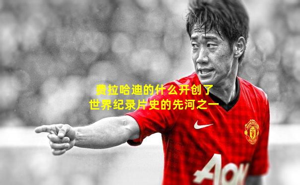 费拉哈迪的什么开创了世界纪录片史的先河之一