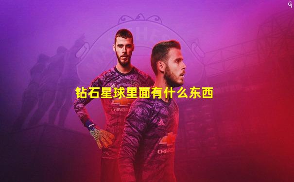 钻石星球里面有什么东西