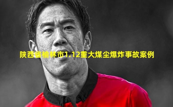 陕西省榆林市1.12重大煤尘爆炸事故案例