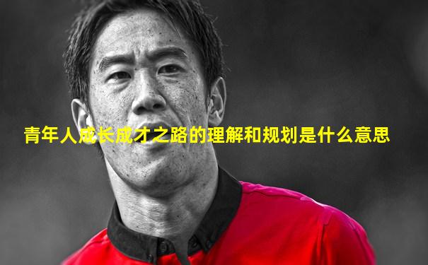 青年人成长成才之路的理解和规划是什么意思